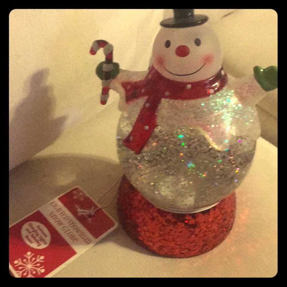 Hallmark snow globe